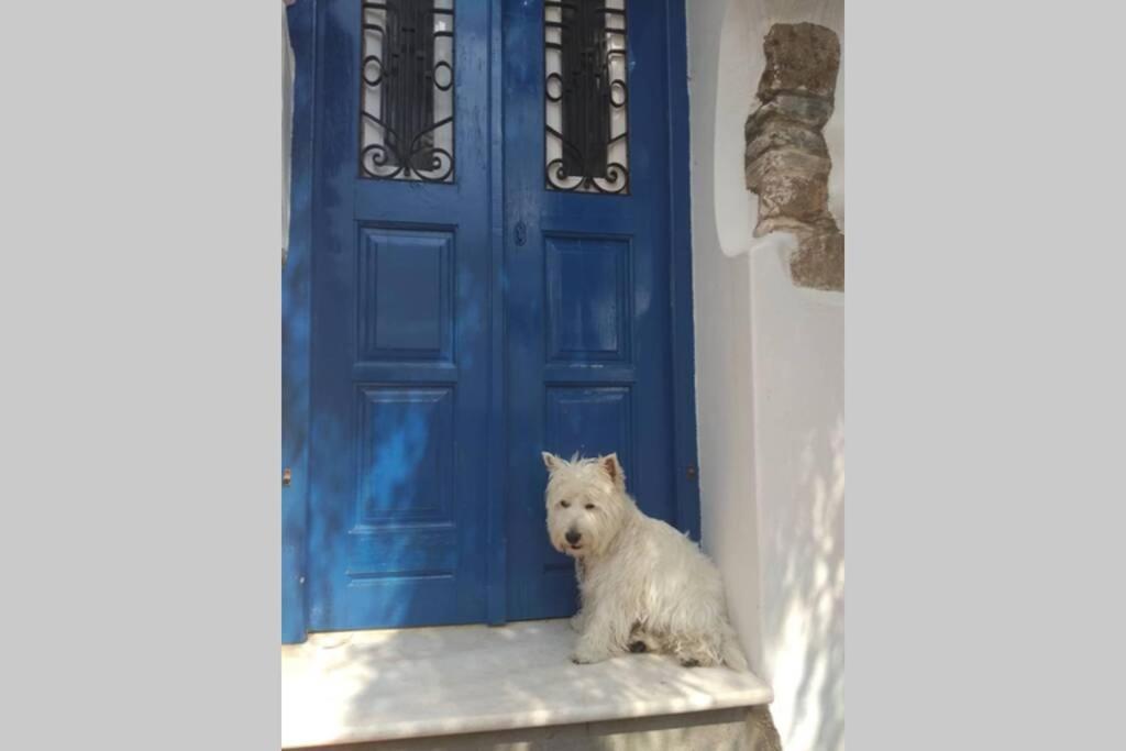 فيلا Blue & White: An Absolute Aegean Dream House Galini  المظهر الخارجي الصورة